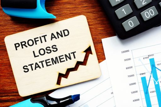 Profit and Loss Statement