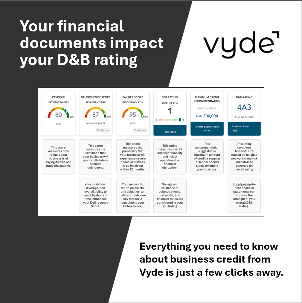 infographic-ad Vyde business credit rating dashboard showing financial metrics and D&B rating